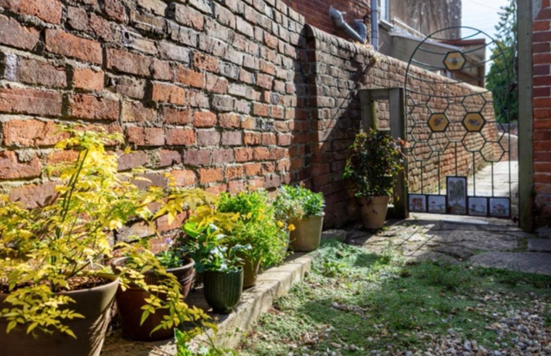 Bridport Garden Suite Eksteriør bilde