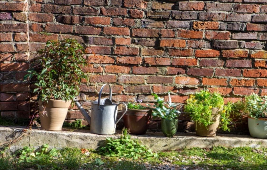 Bridport Garden Suite Eksteriør bilde